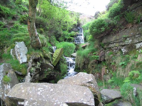 Things to do in Haworth - Bronte Waterfall