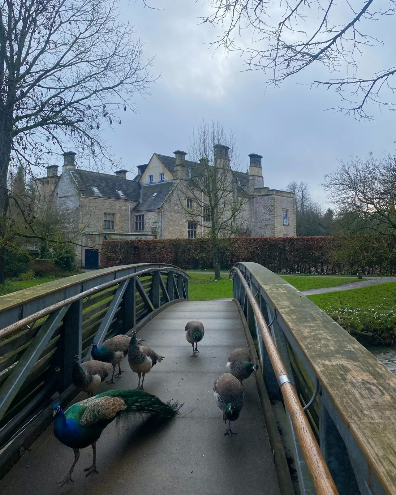 Stately Homes in North Yorkshire