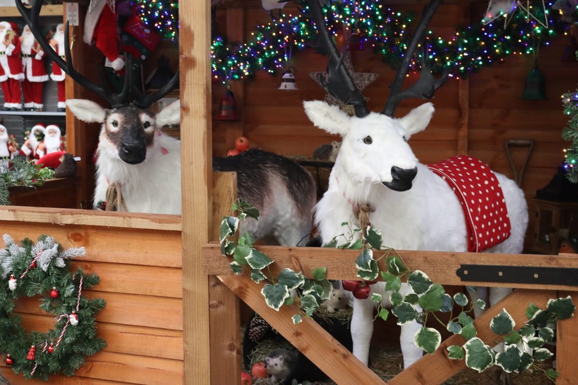 1 Of The Best Santa’s Grottos Found In Yorkshire’s Garden Centres In 2