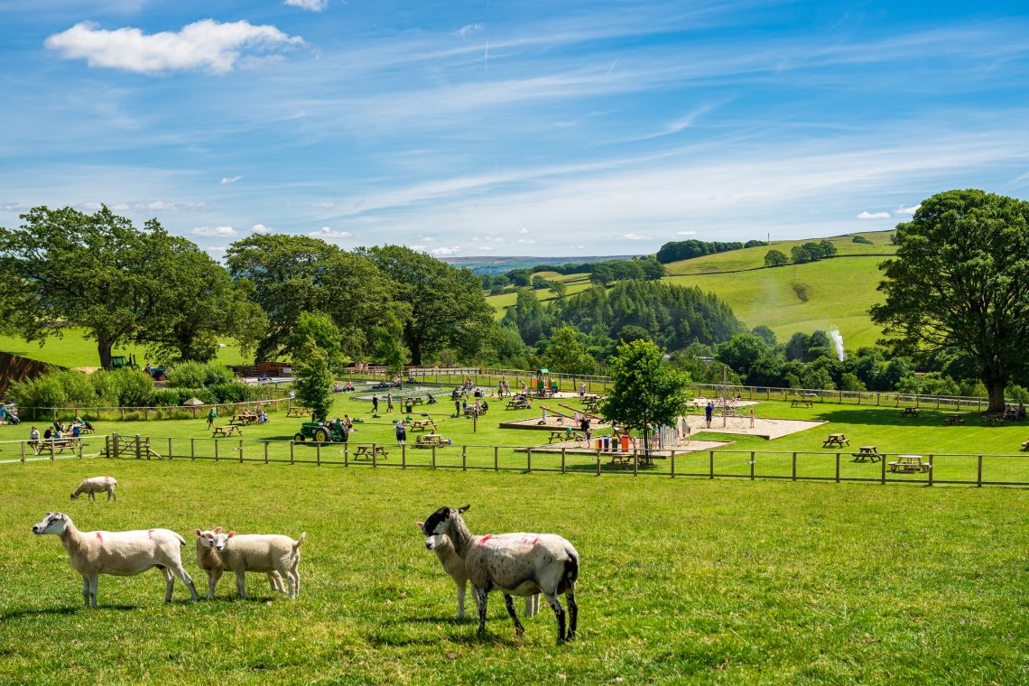 6 Fantastic Yorkshire Farms To Visit With Kids The Yorkshire Press