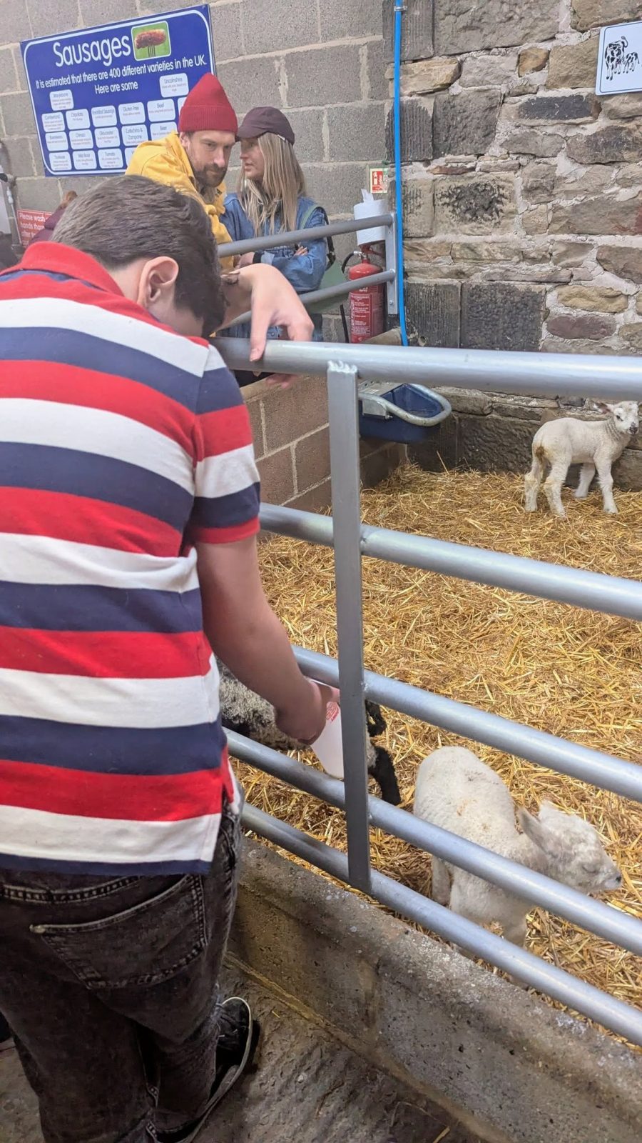 Things to do in Skipton with kids