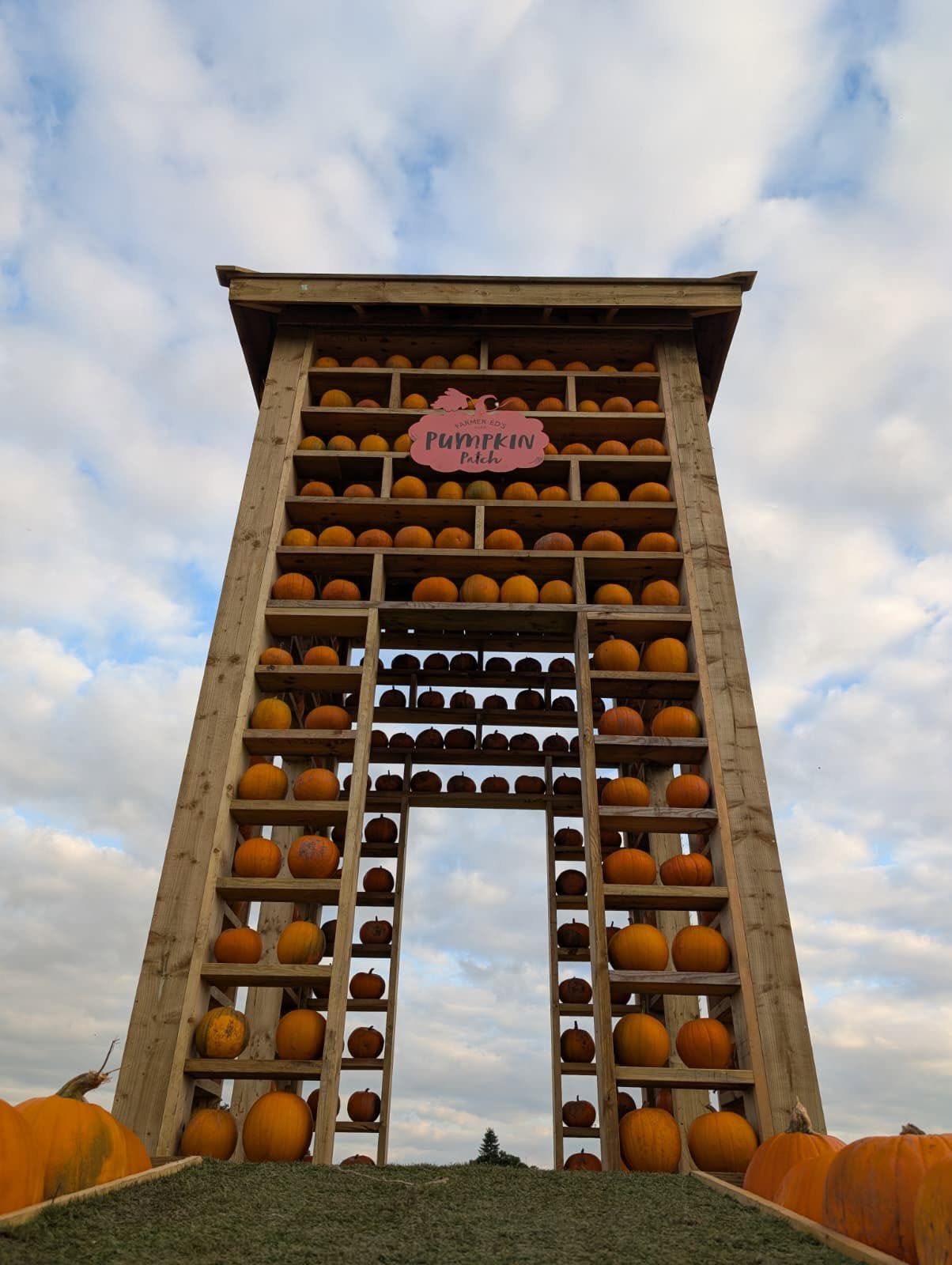 Piglets Adventure Farm's Yorkshire Halloween event