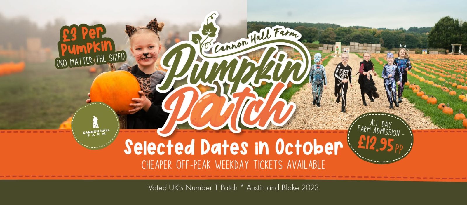 Pumpkin Picking at Cannon Hall Farm