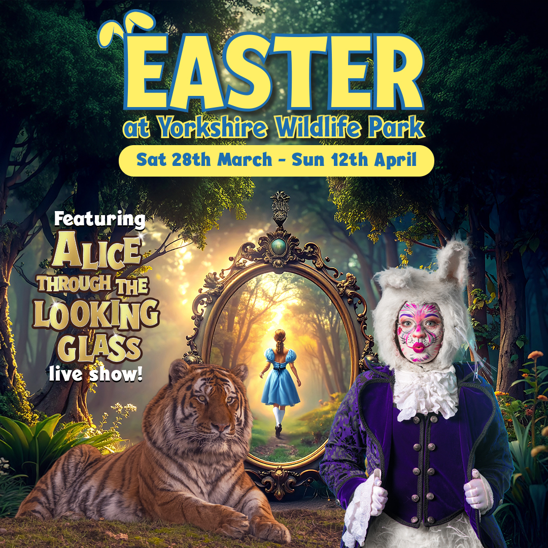 Yorkshire Wildlife Park: The Wildest Easter