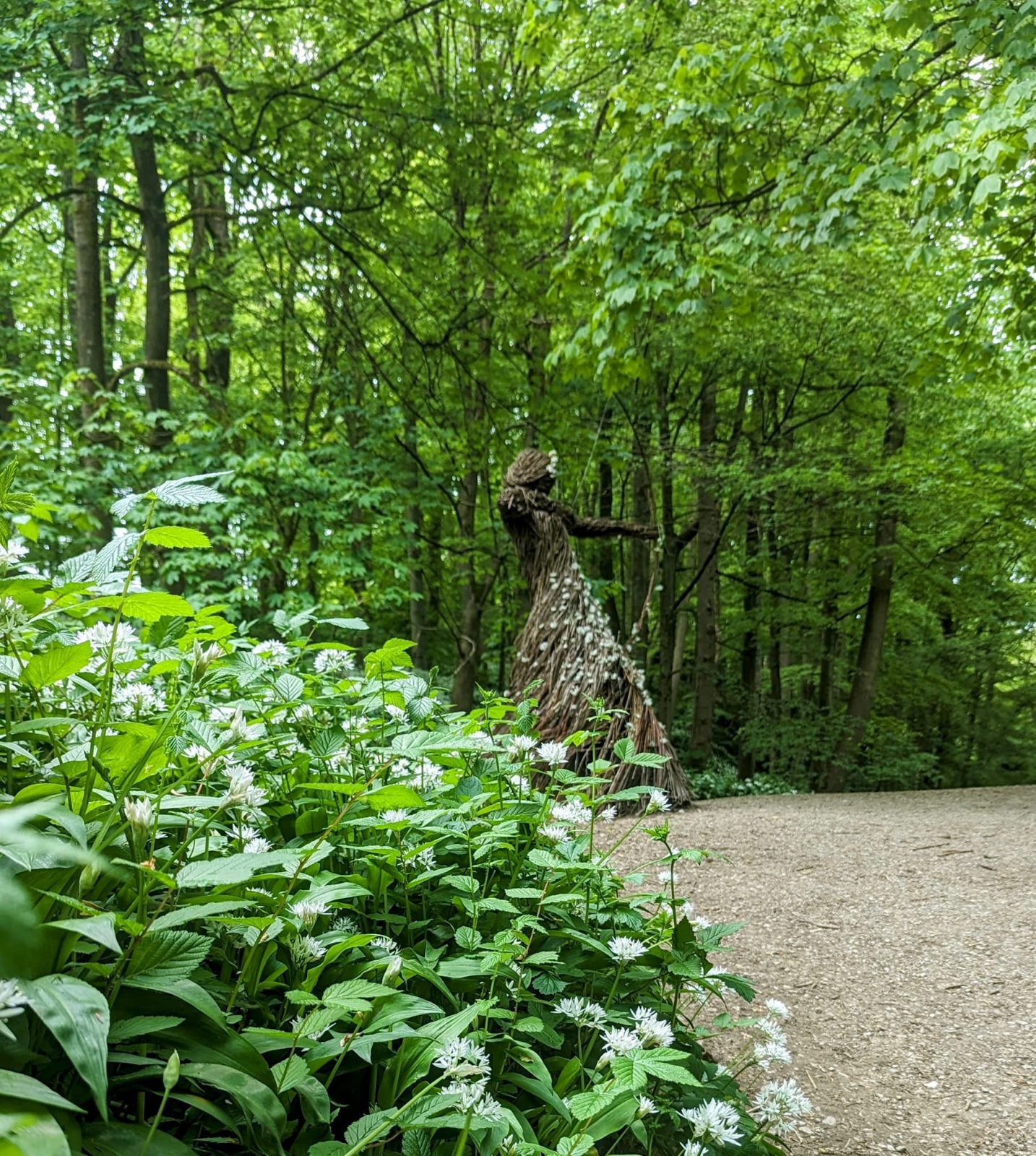 Skipton Castle Woods