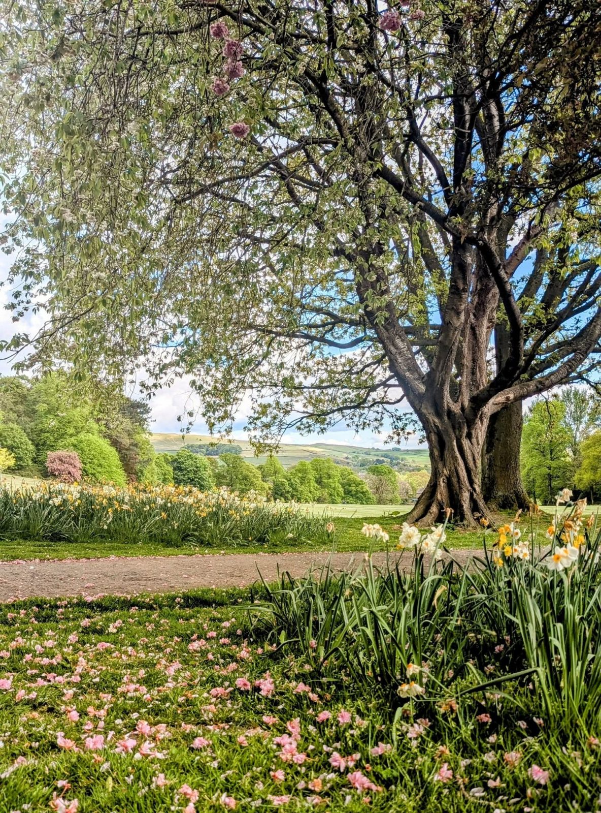 Aireville Park, Skipton