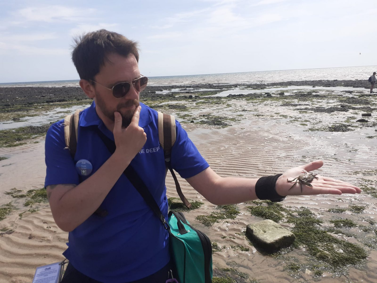 Discover Coastal Wildlife with Seaside Safari Sessions at Sewerby Hall
